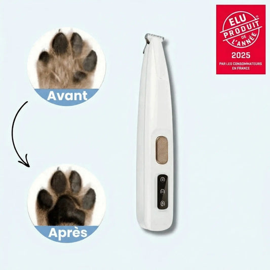 Tondeuse pour Papatte de Chien